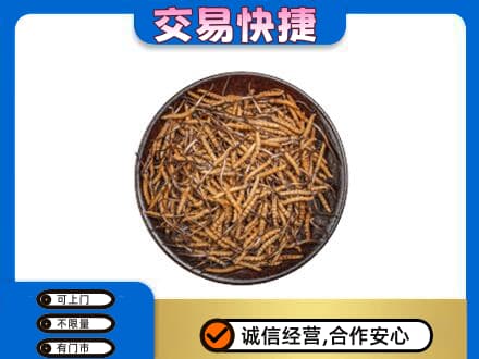 武汉礼品回收虫草.jpg